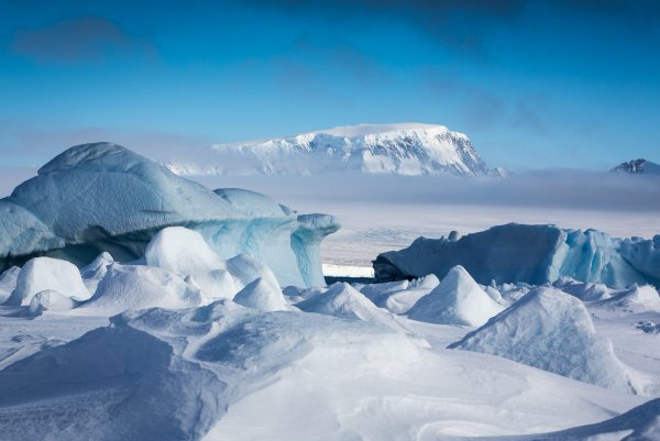 Таяние льда в Антарктиде обнажило необычный аномальный предмет