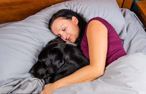 Ученые рассказали, почему полезно спать с собаками, а с кошками нет