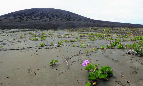 Загадочная грязь на новом вулканическом острове вызвала интерес ученых NASA