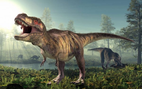 Ученые смогли измерить остроту слуха динозавров с помощью аллигаторов