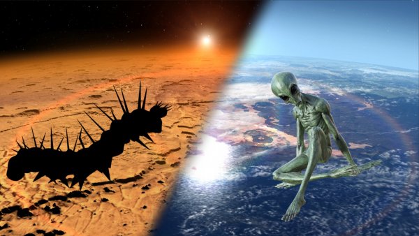 «Черви-потрошители» с Марса готовятся нанести удар по Земле: почему молчит NASA?