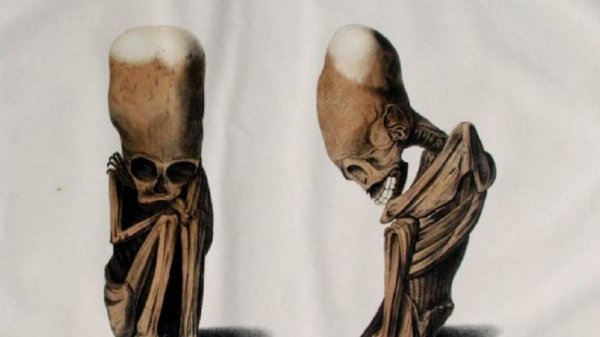 Детёныш пришельца найден в Перу. Учёные воссоздали облик инопланетян по древнему черепу