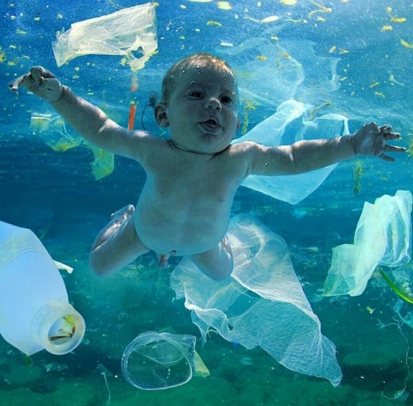 Пластмассовый мир победил: Учёные назвали новые последствия загрязнения экологии