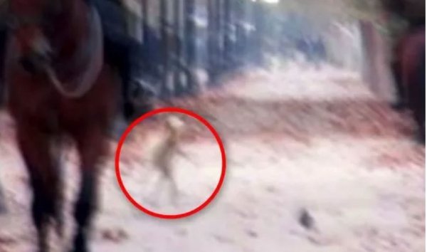 Они перестали скрываться: Уфолог обнаружил пришельца, гуляющего по парку Сантьяго