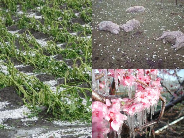 «Голодные игры» начнутся в Европе: Ледяной Апокалипсис уничтожит урожай