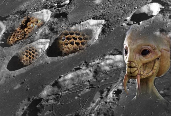 Словно дикие осы: Уфологи обнаружили громадные «ульи» пришельцев на Луне