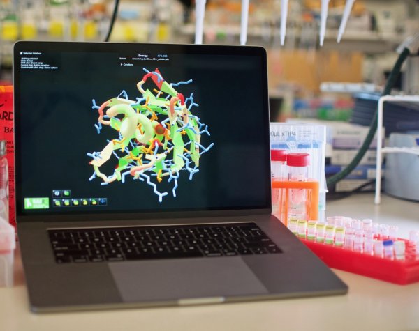Компьютерная игра помогла создать новые виды белков
