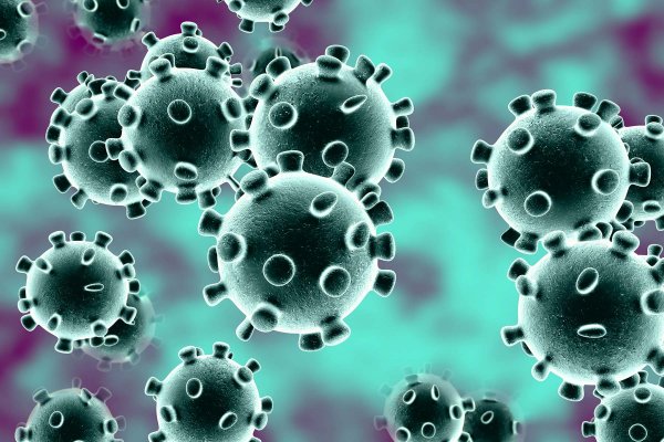 Ученые выявили 12 тысяч мутаций у коронавируса