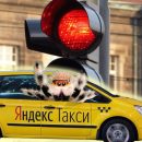 Дикое шоу с пауком: Водитель Яндекс.Такси возмутил пассажира неадекватным поведением