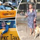 Тариф «Гуманизм»: Водитель «Яндекс.Такси» отказался от слепого пассажира с собакой-поводырём Тариф «Гуманизм»: Водитель «Яндекс.Такси» отказался от слепого пассажира с собакой-поводырём