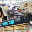Подложили свинью! Рив Гош обвинили во «втюхивании» паршивой косметики